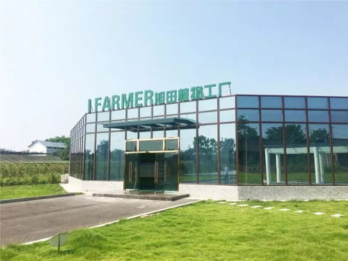 陜西旭田植物工廠在渝成功投產(chǎn)，總投資約800萬(wàn)助力現(xiàn)代農(nóng)業(yè)發(fā)展
