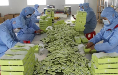 牛蒡沃土綻金花 綠色農(nóng)肥助振興——徐州豐縣以特色產(chǎn)業(yè)與科學施肥撐起鄉(xiāng)村發(fā)展脊梁